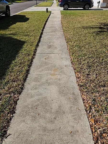 Concrete sidewalk between grassy lawns beside a street, with parked cars in the background.