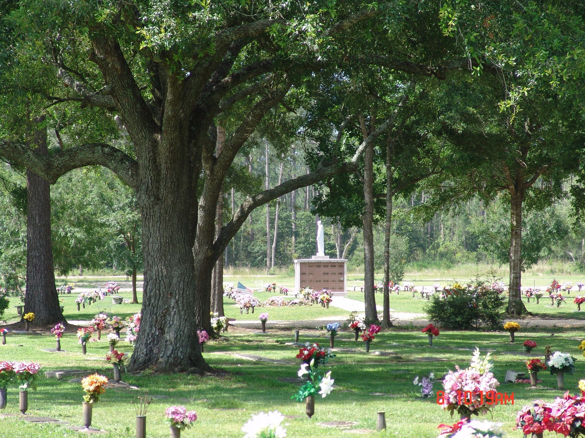 Cemetery with trees and many colorful flower arrangements on graves