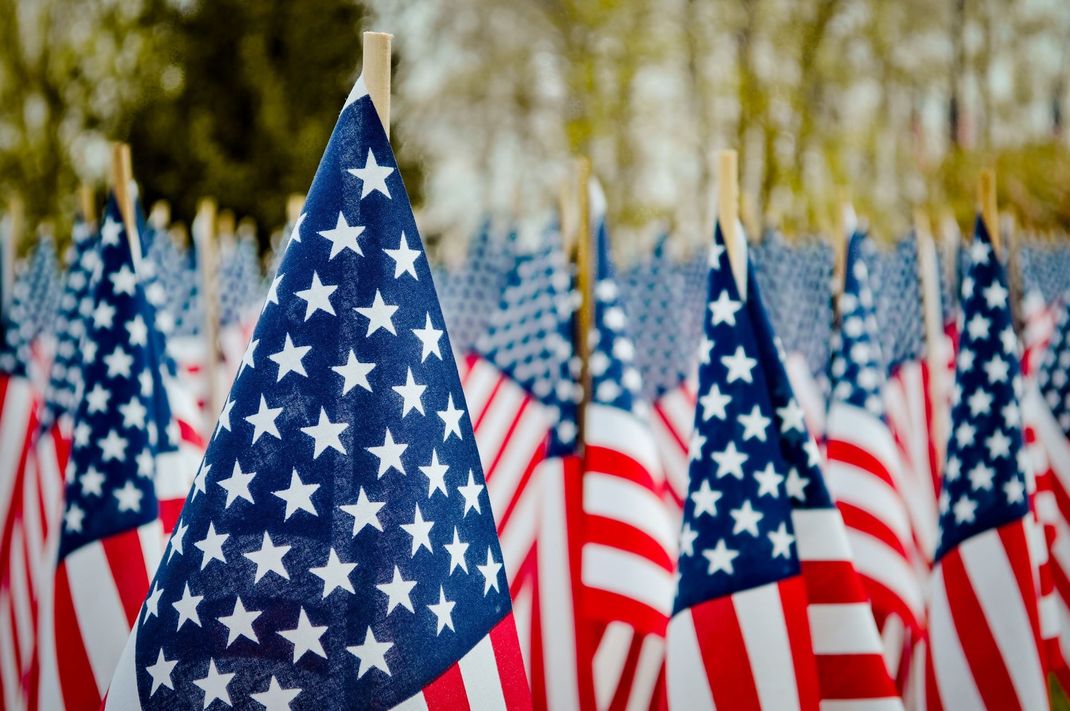 Rows of American flags waving outdoors against a blurred tree-lined background