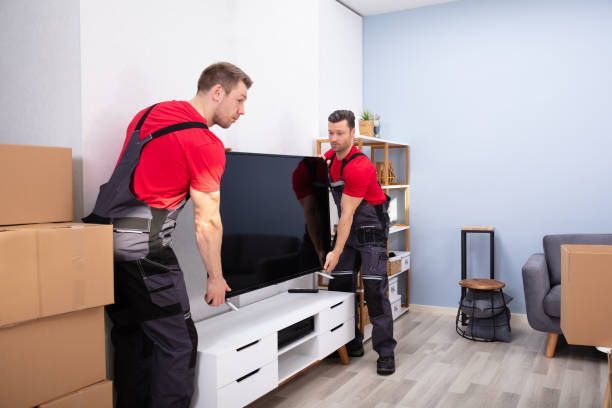 Professional movers are unloading a television in the living room, providing expert moving services.