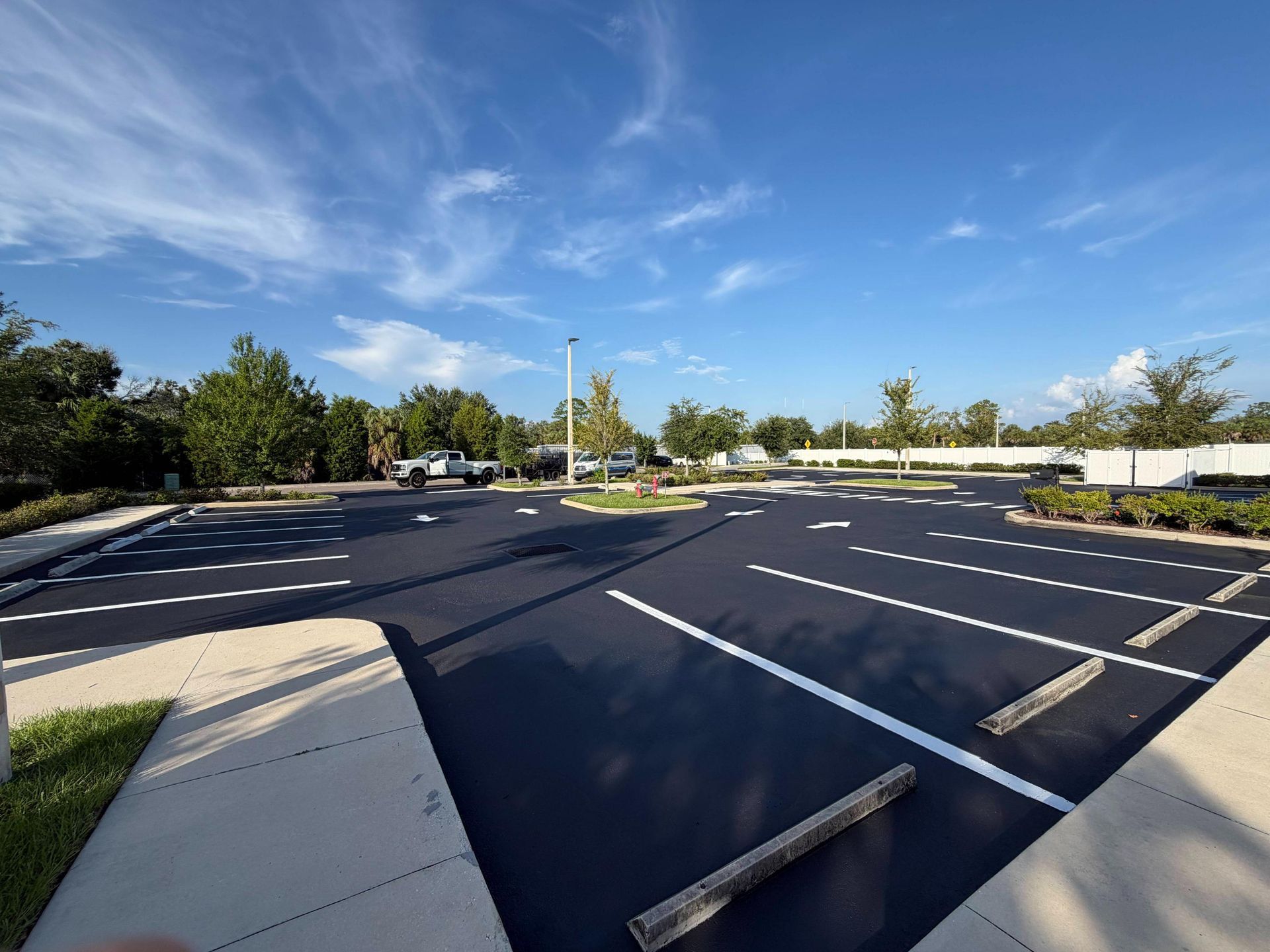 Empty parking lot with dark asphalt, white parking lines, and trees under a blue sky
