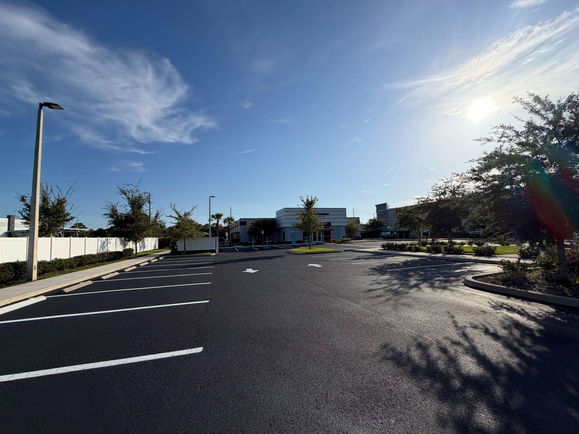 Empty sunny parking lot with white spaces, palm trees, and blue sky.