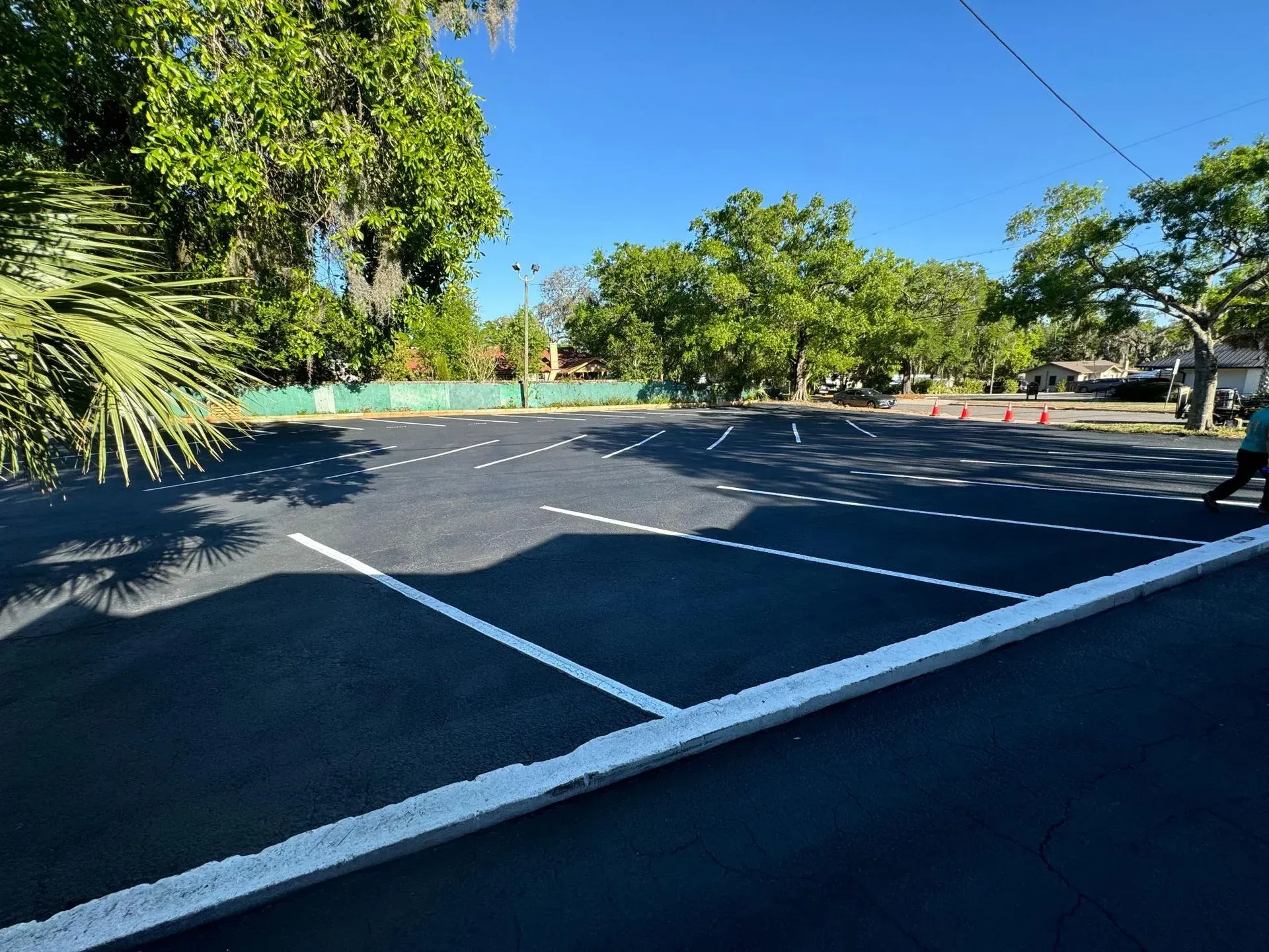 Empty parking lot with painted lines, trees, and orange cones under a clear blue sky