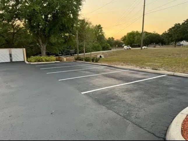 Empty parking lot at sunset with marked spaces, trees, and a grassy roadside area