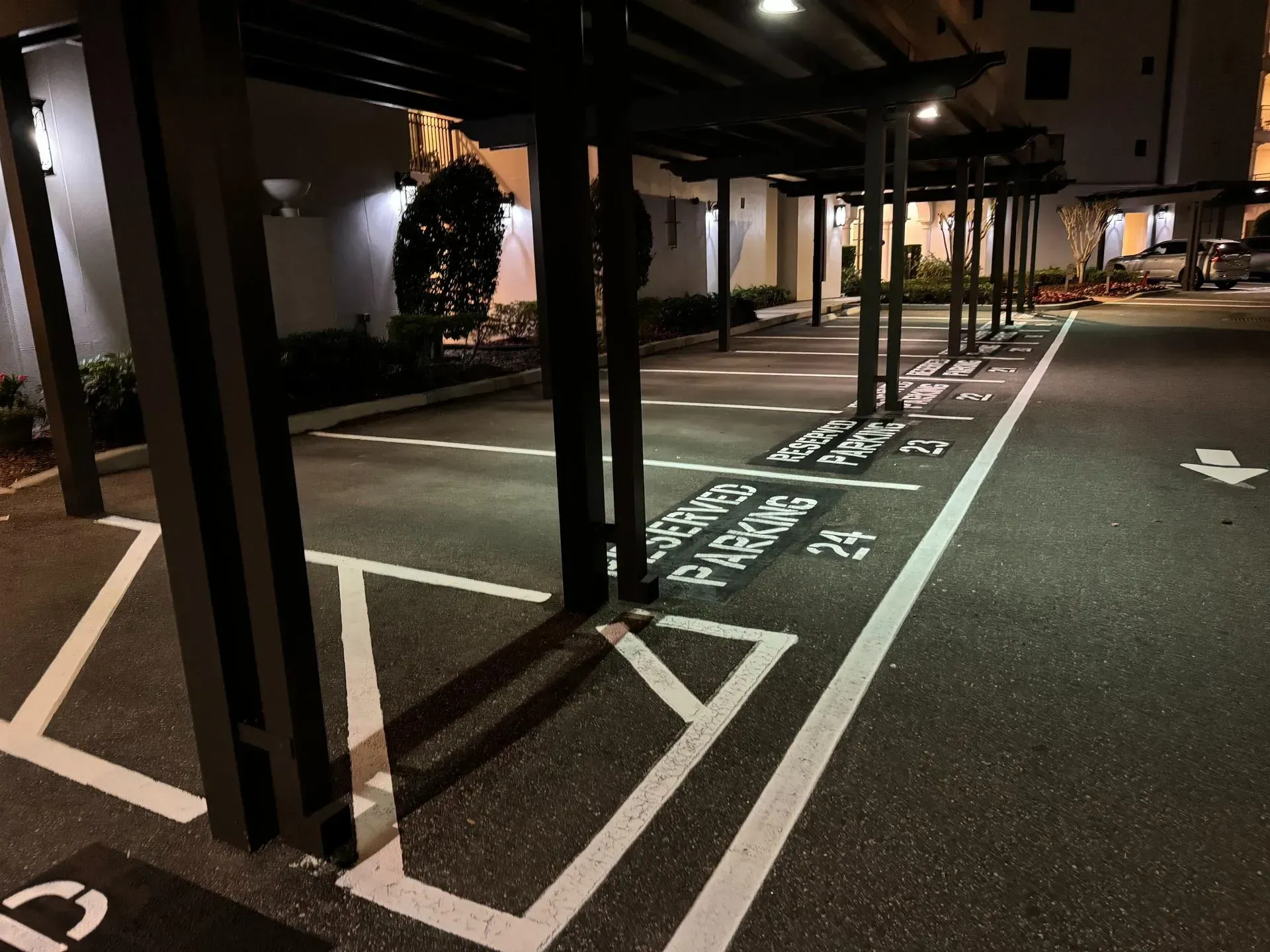 Covered parking area at night with painted white markings and a small decorated tree