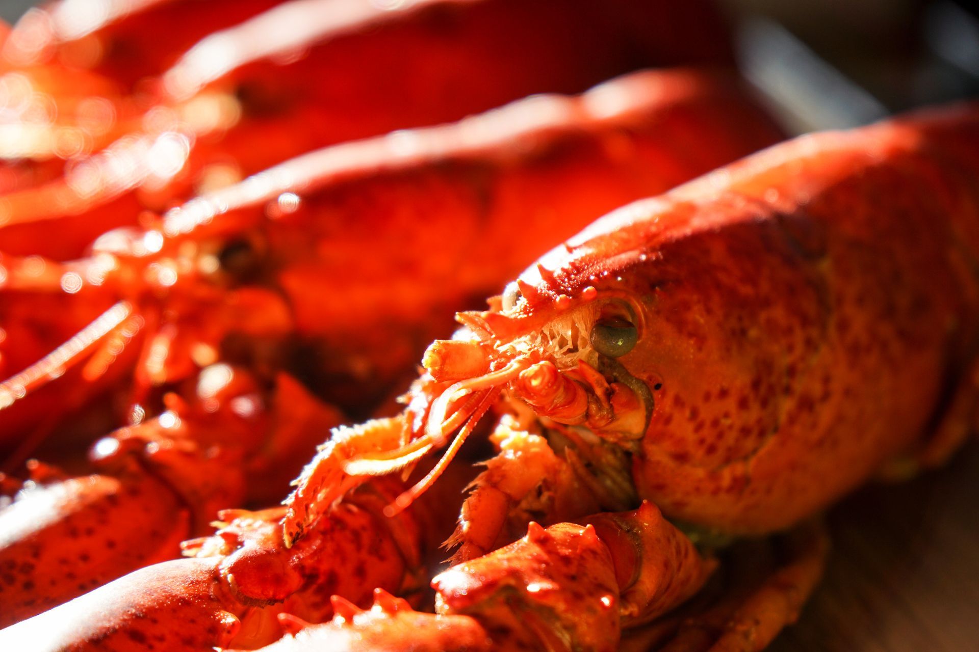 Pescatori che calano le reti in mare