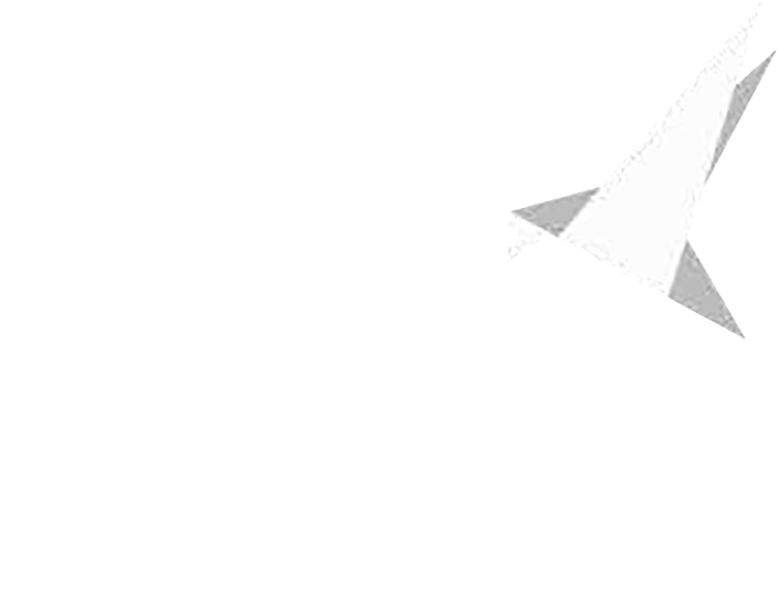 Rapidity-logo