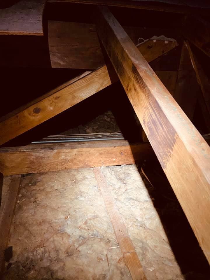 A low-angle view inside a dark attic, showing wooden roof beams and rafters over pink fiberglass insulation.
