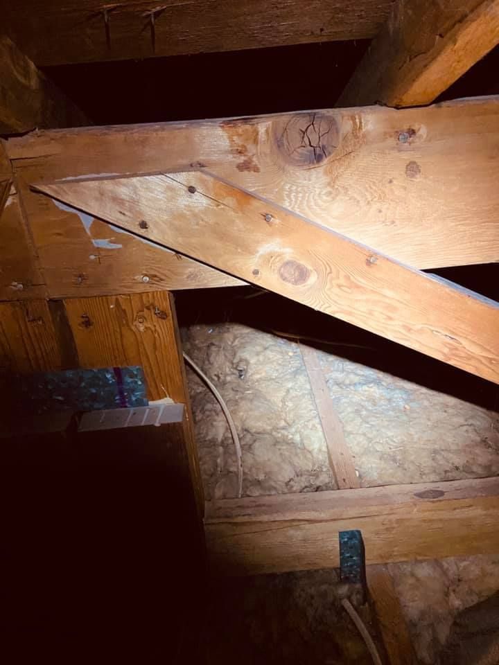 A wooden roof truss assembly with light-colored insulation filling the floor space between joists in a dark attic.