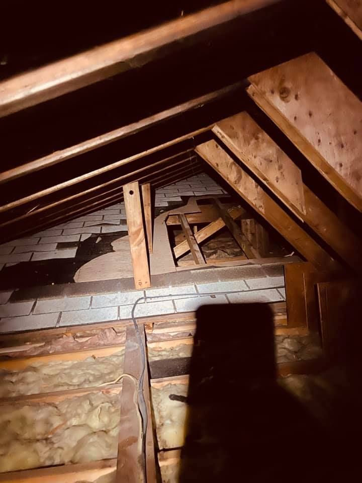 An attic interior with exposed wooden rafters, white ceiling tiles, and loose-fill insulation between joists.
