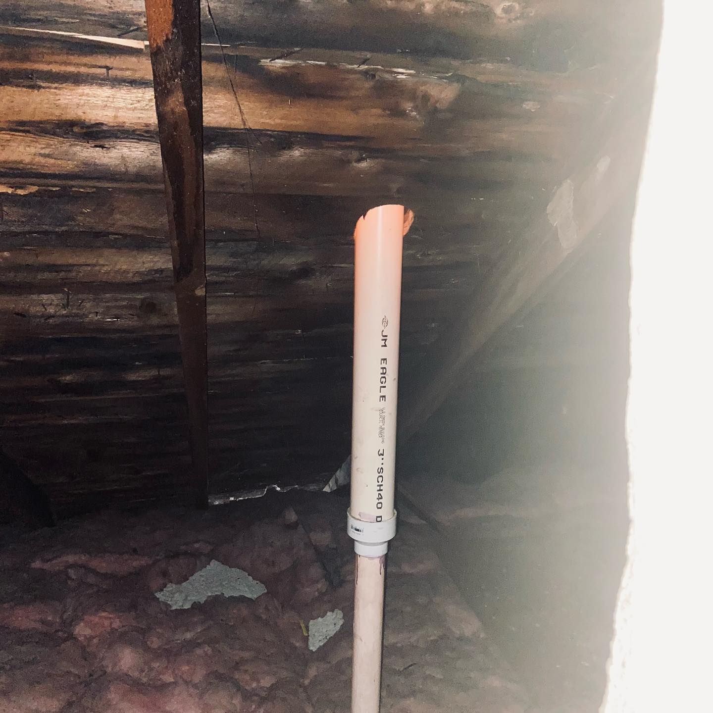 A light-colored plastic plumbing vent pipe sticks vertically out of insulation in a dark, unfinished attic space.