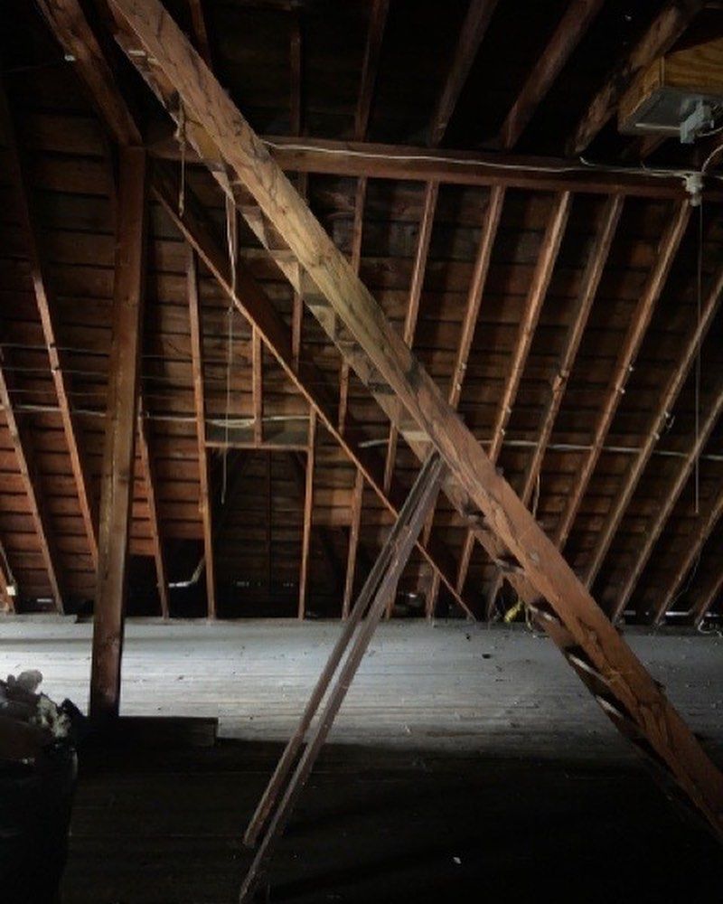 An unfinished attic with wooden rafters, a diagonal support beam, and a wooden ladder standing on the floorboards.