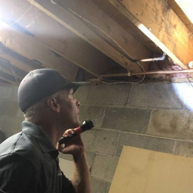 A person wearing a hat and grey polo shirt uses a flashlight to inspect an unfinished basement ceiling and walls.