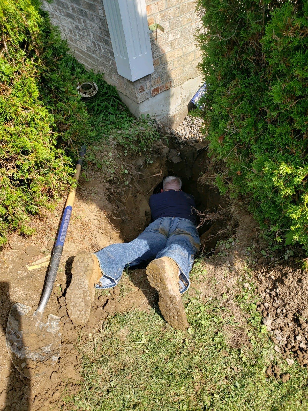 A person in a blue shirt and jeans lies head-first in a narrow dirt hole next to a house foundation and green bushes.