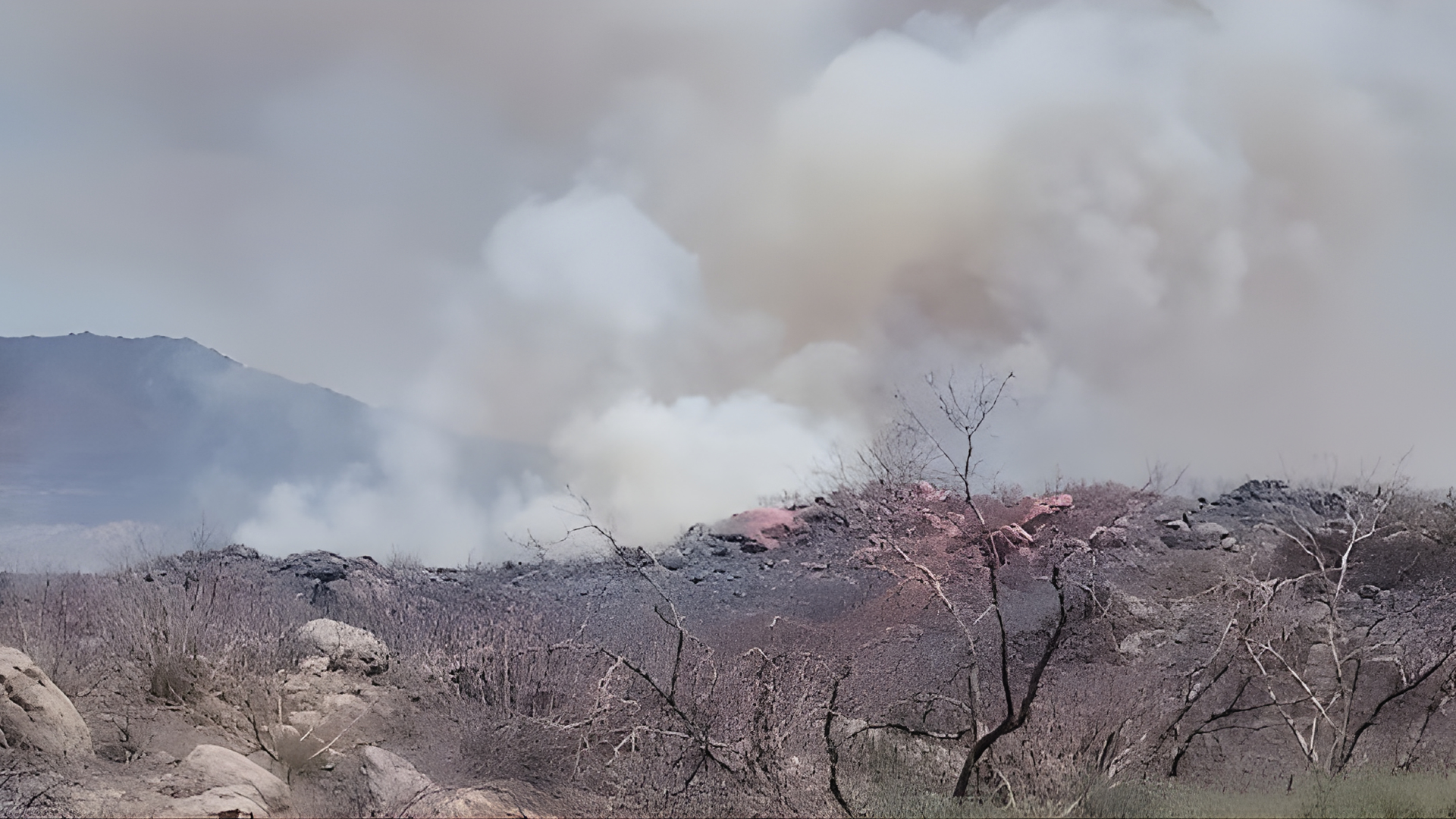 Thick white smoke rises from a dry, rocky hillside covered in scorched vegetation and charred trees under a hazy sky.