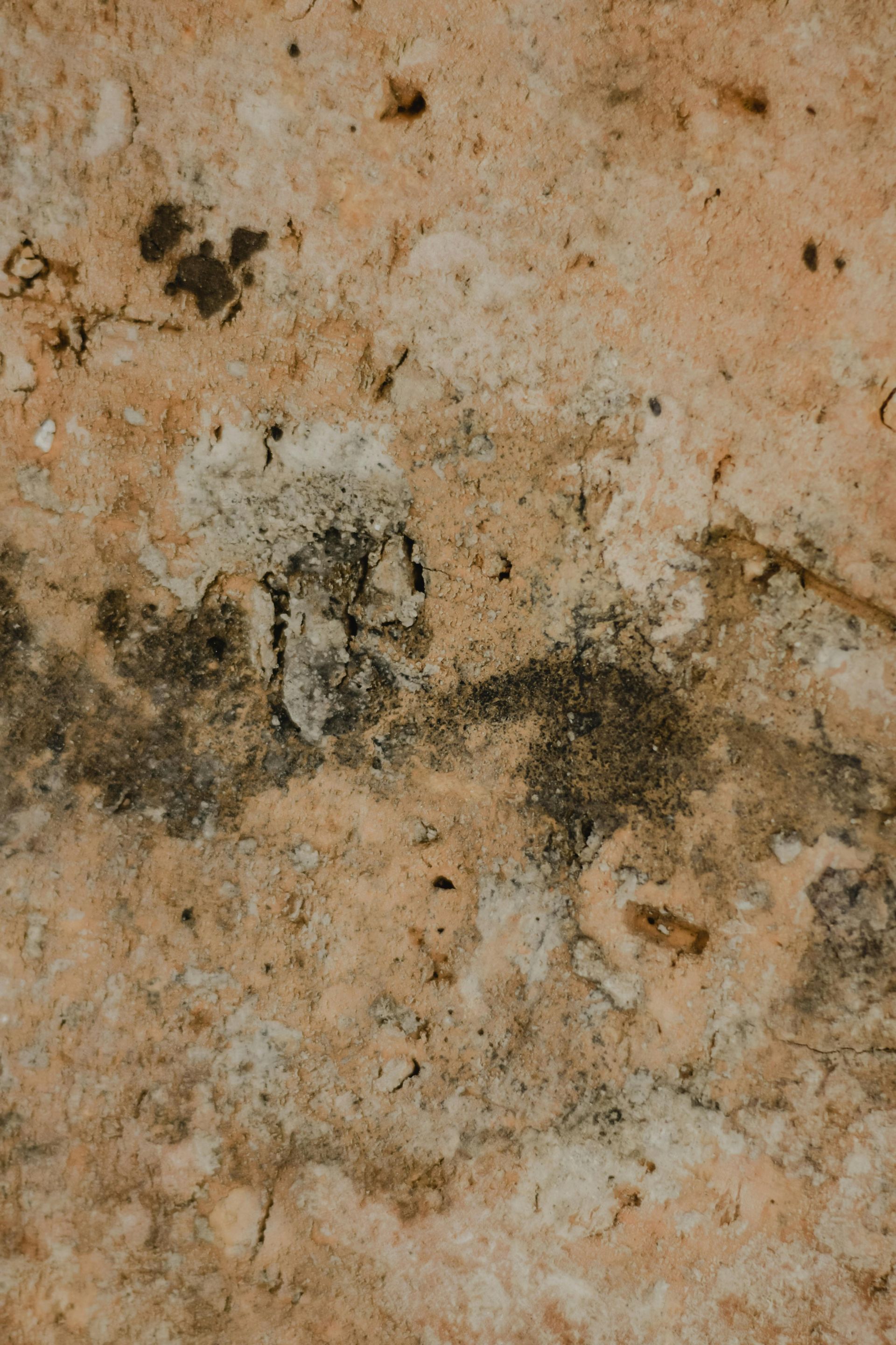 Beige and brown stone with dark gray and black markings.