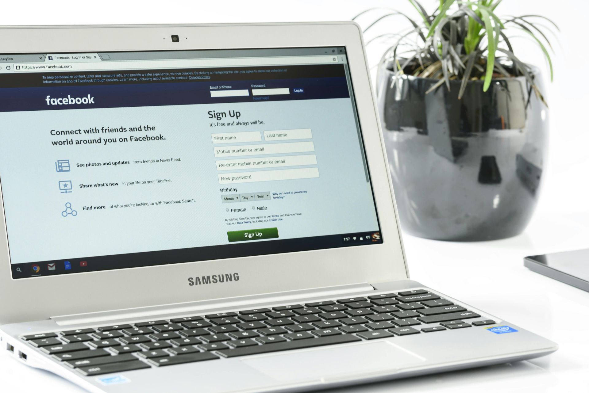 Laptop mit Facebook-Anmeldeseite neben einer Topfpflanze auf weißem Untergrund.