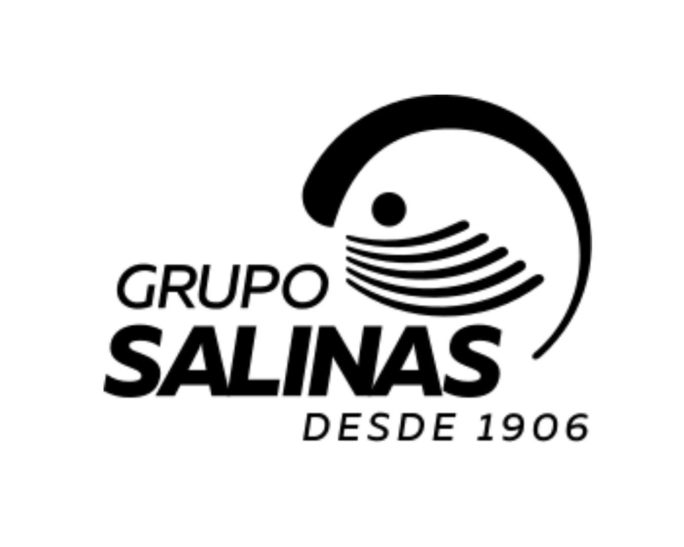 Grupo Salinas logo with text 