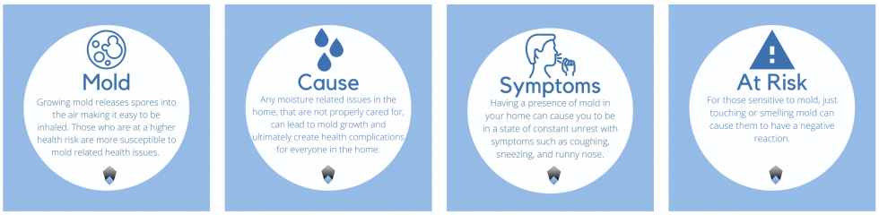 Four blue circular badges labeled Med Model, Care Model, Systemic Issues, and At Risk Factors.