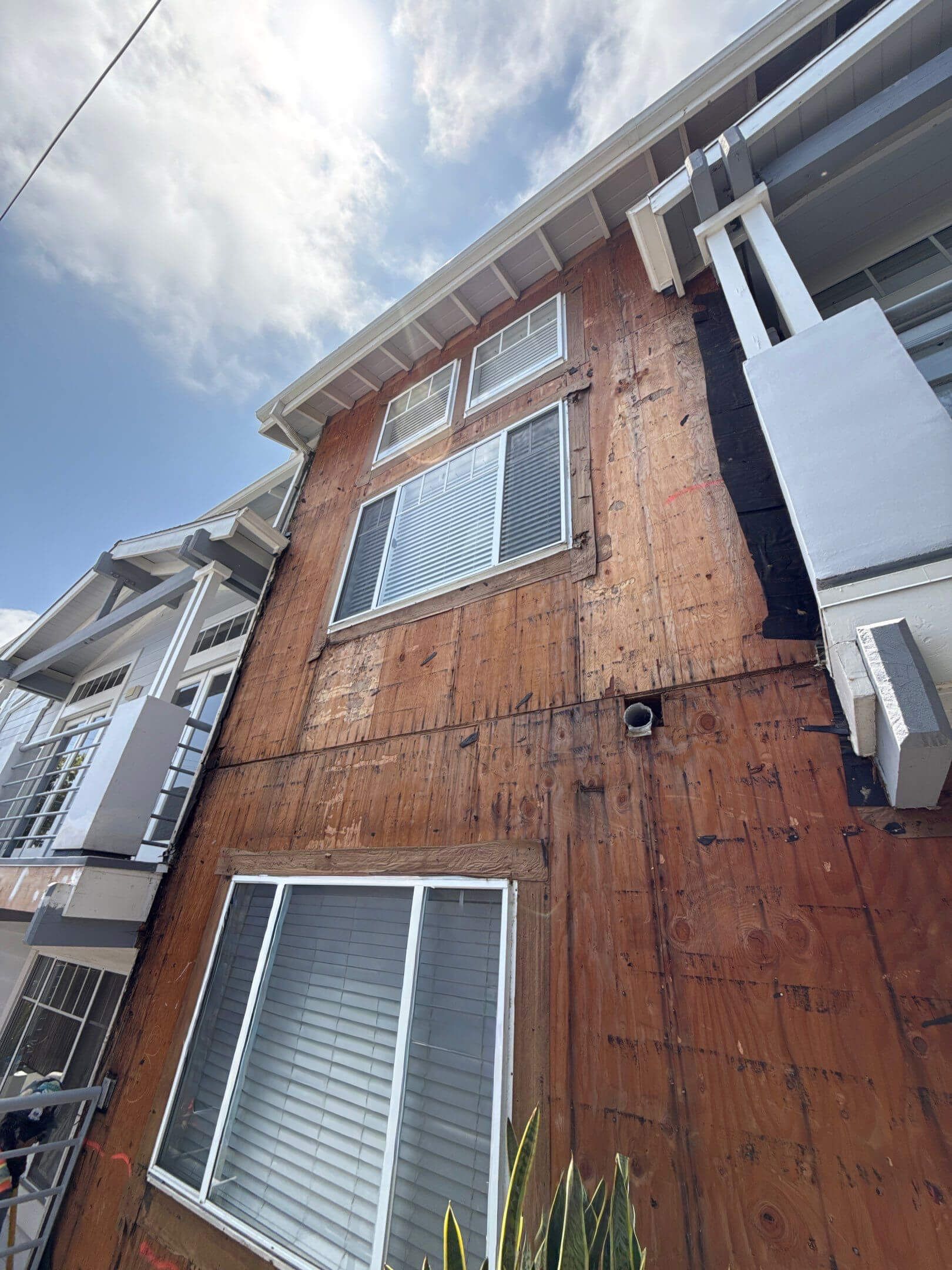 An upward-angled shot of an exterior residential wall under construction, revealing plywood sheathing and two windows.