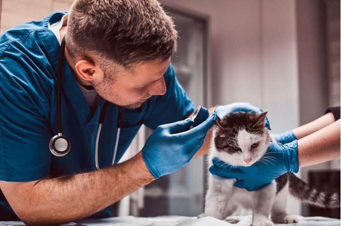 Razas Centro Veterinario Sucursal Terrón