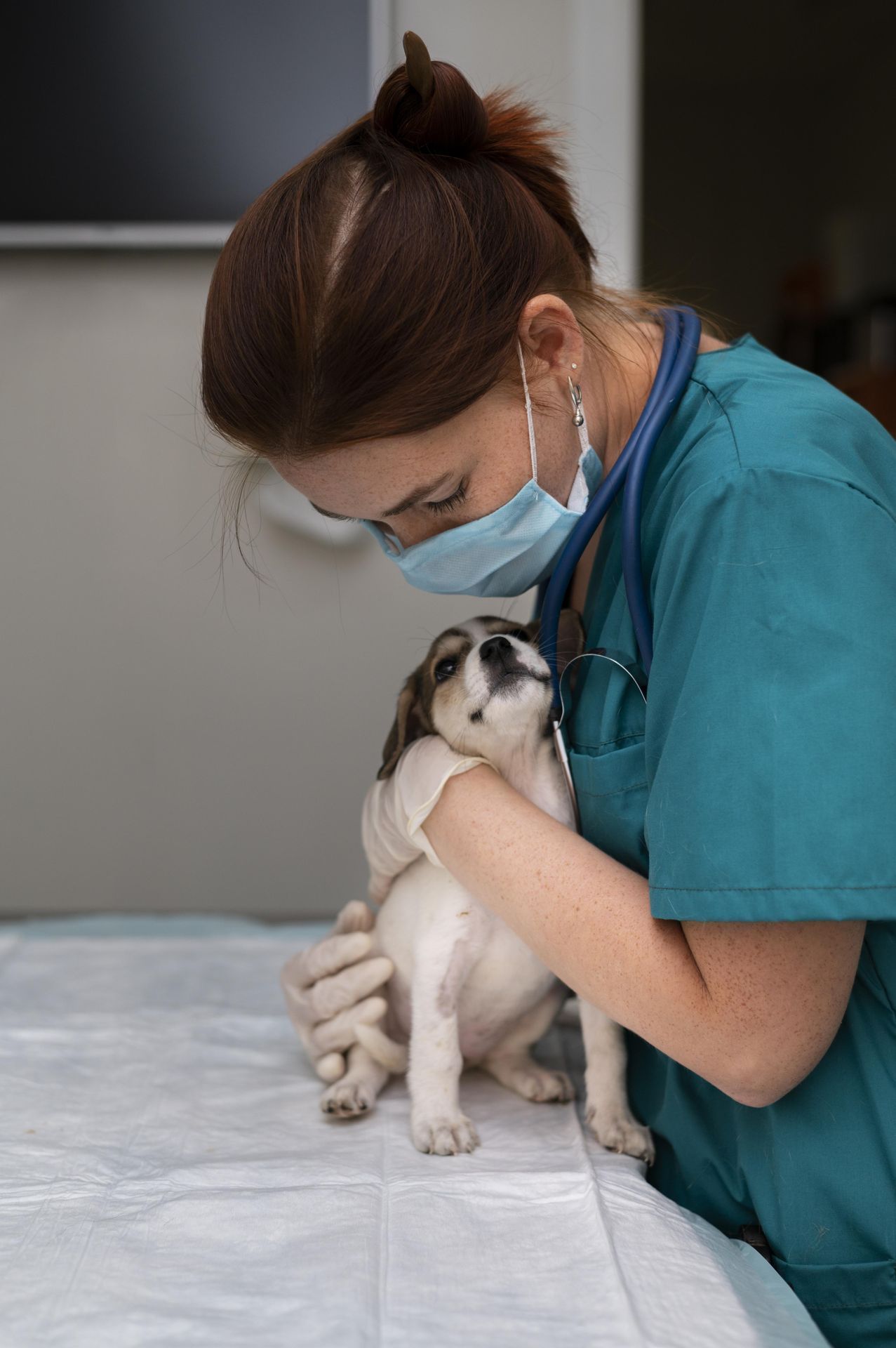 Razas Centro Veterinario Sucursal Terrón
