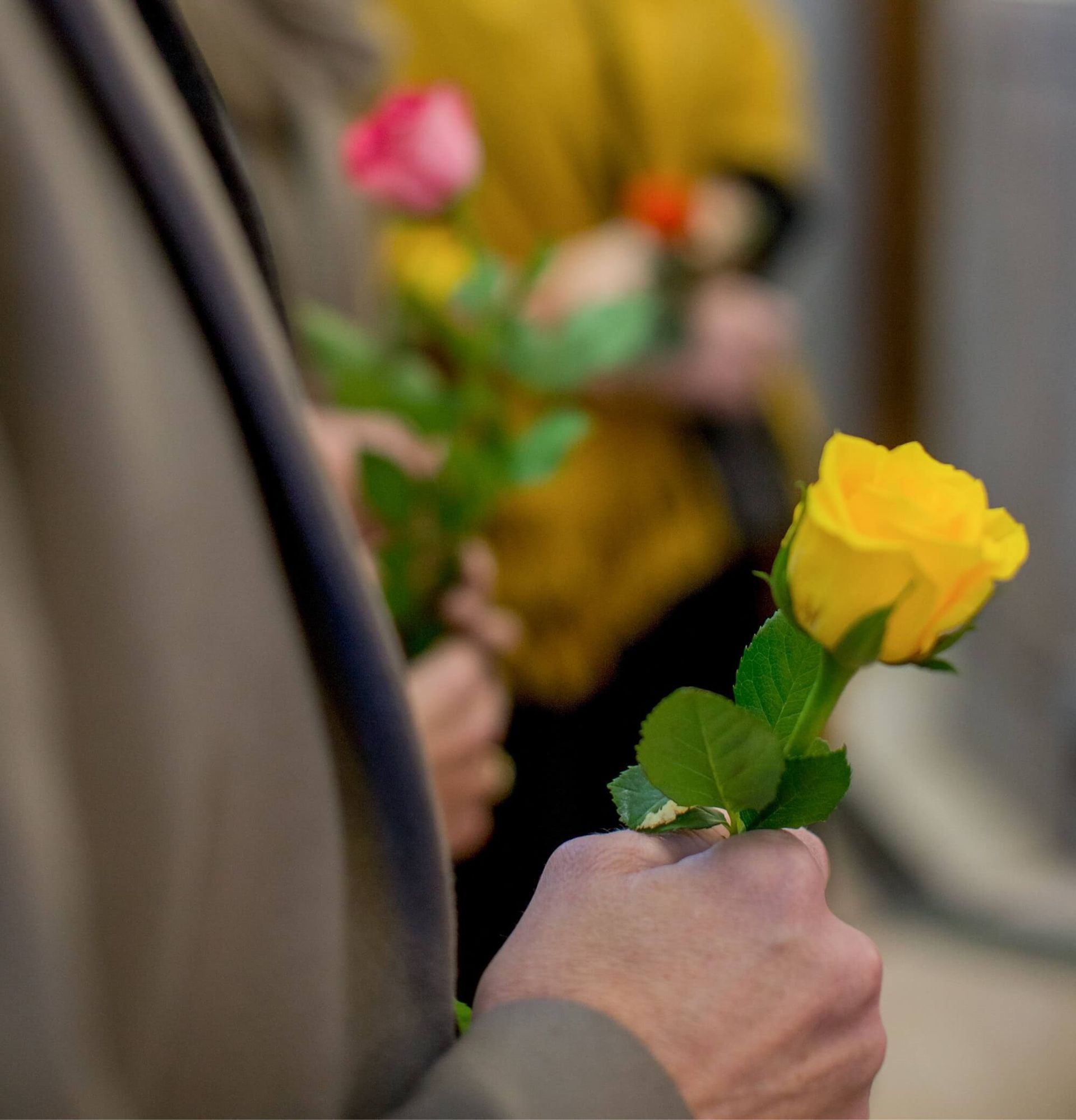 Cremation Services