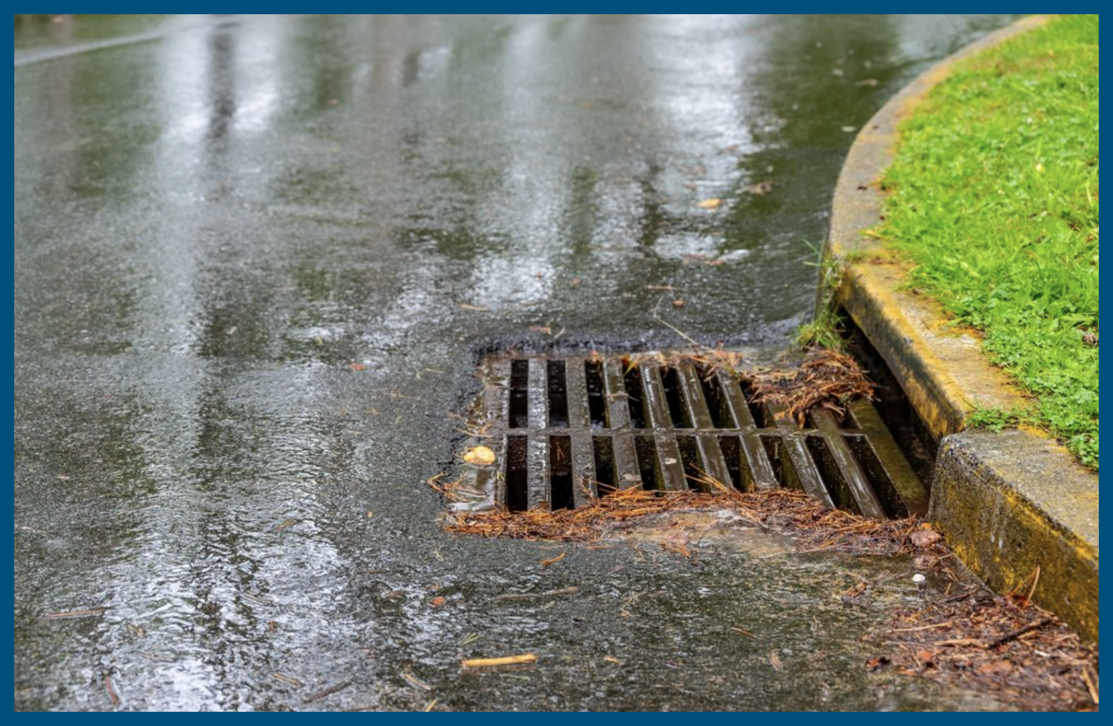 A drain on the side of a road in the rain.