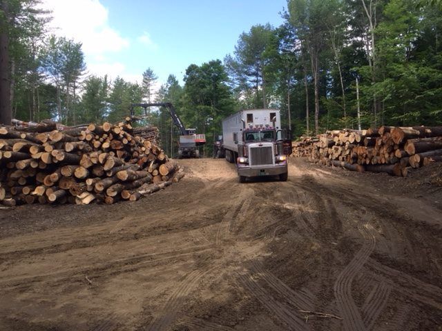 A truck is driving down a dirt road next to a pile of logs.