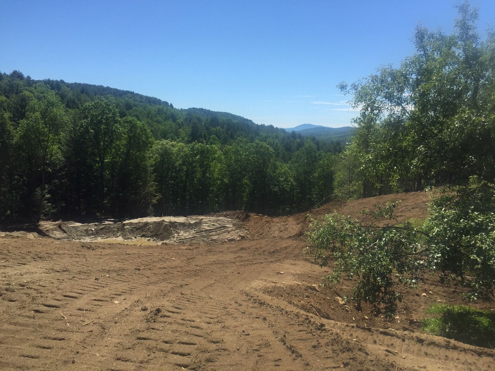 A dirt road going through a forest with mountains in the background.