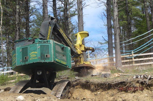 A green and yellow tractor is cutting trees in a forest.