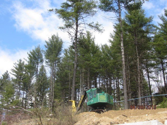 A green excavator is in the middle of a forest