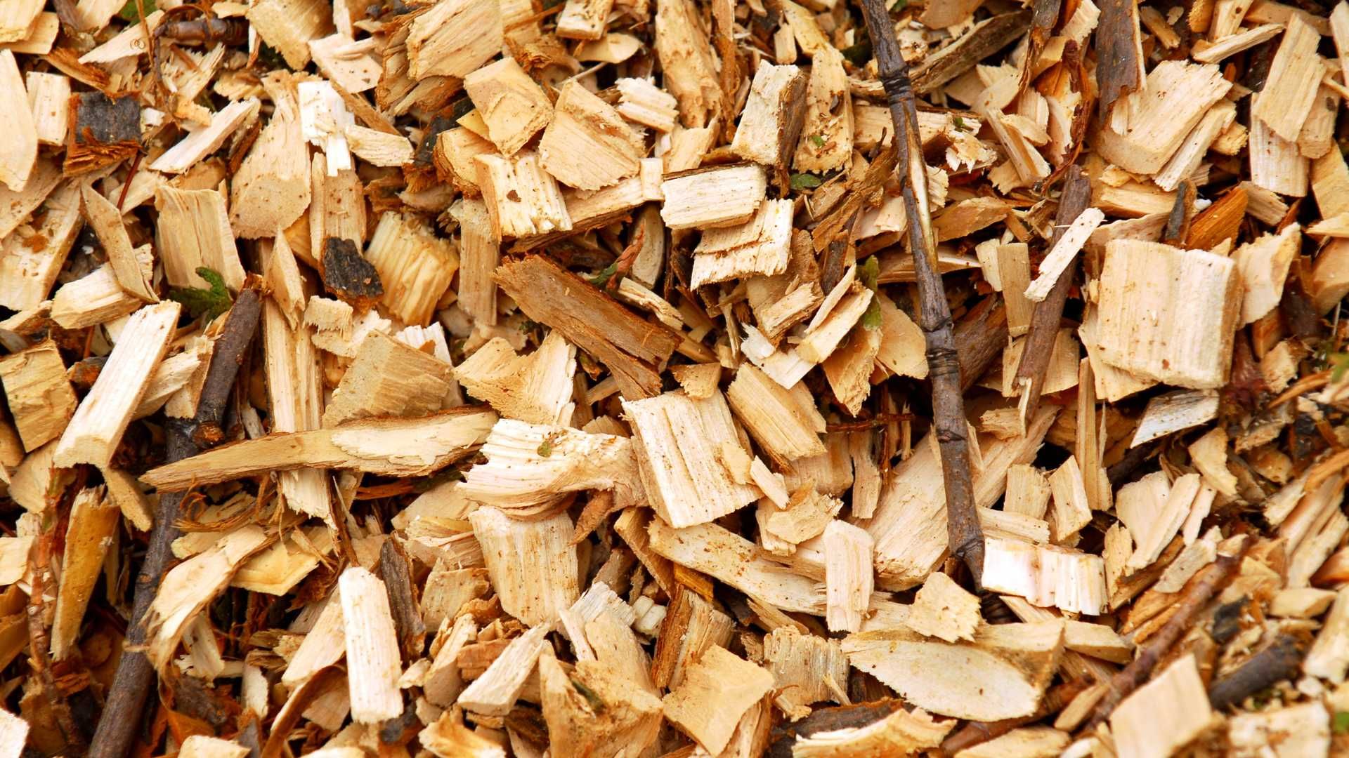 A pile of wood chips with branches laying on the ground.
