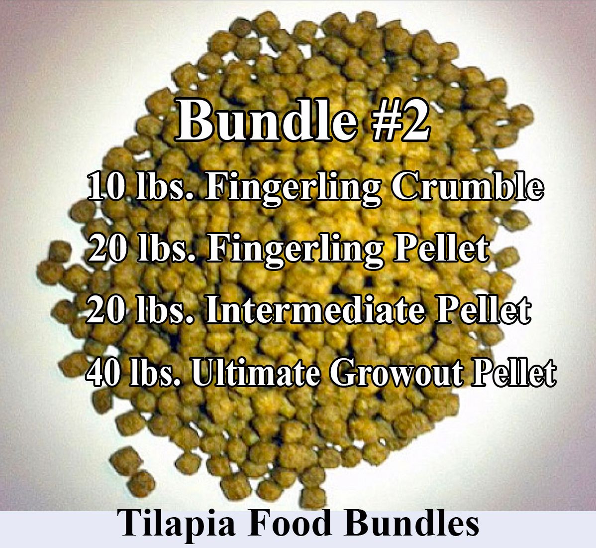 01. Blue Tilapia Fingerlings