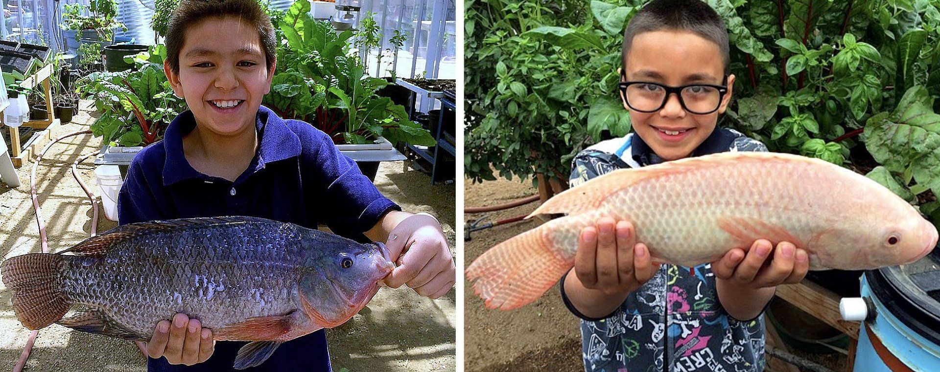Two boys smiling, holding large fish in outdoor setting. One fish is dark, other is light.