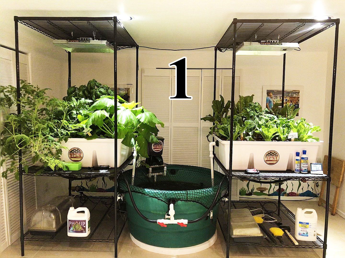 Two indoor hydroponic garden systems with lush plants and a central water reservoir.