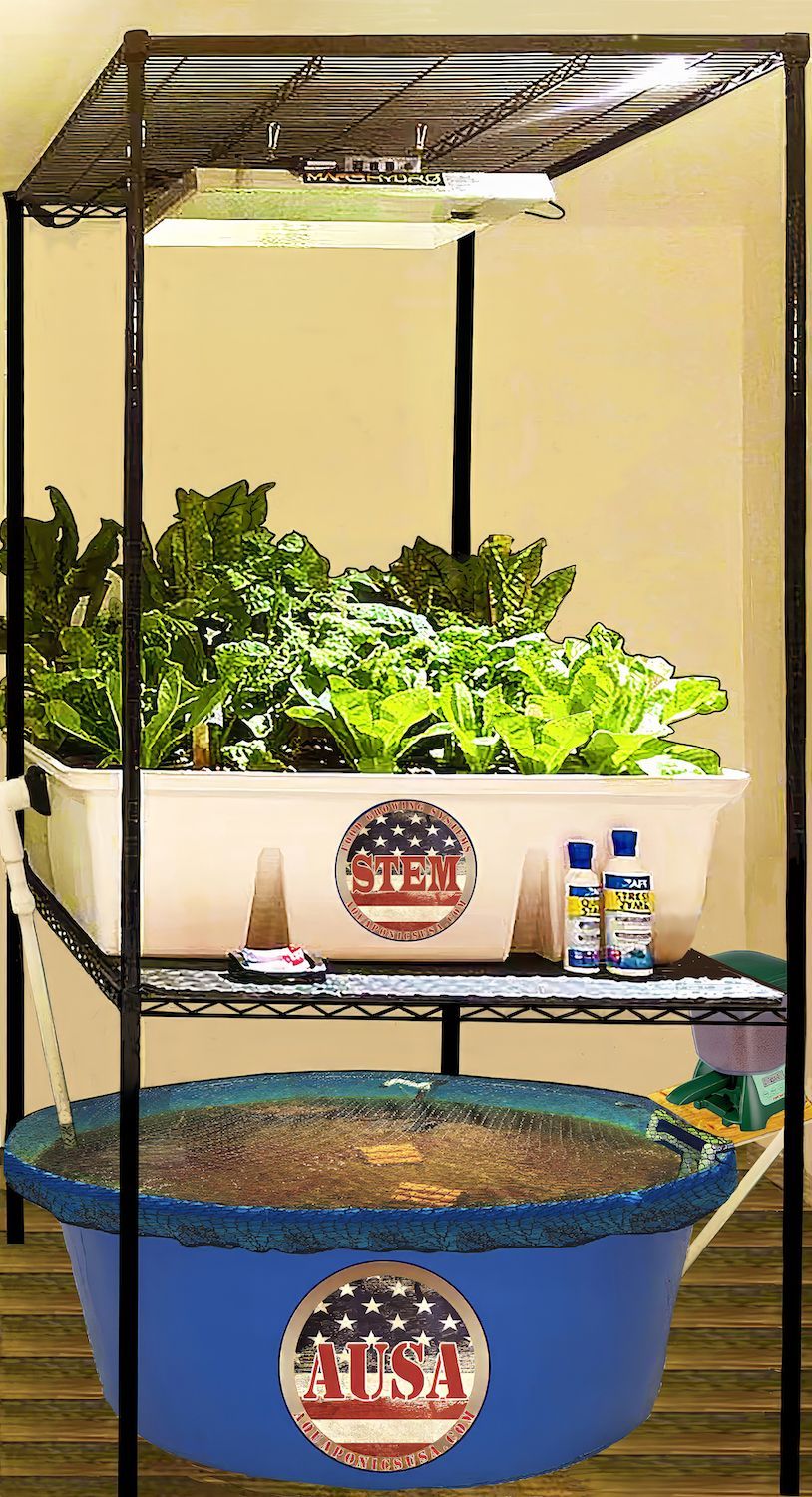 Hydroponic garden system with leafy greens growing under lights on a black metal shelf.