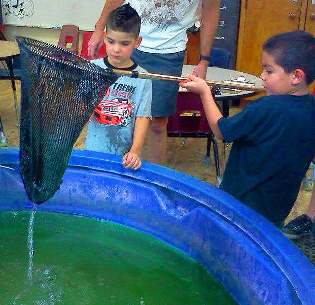 Two boys use a net to scoop water from a blue pool. A third person watches. Classroom setting.