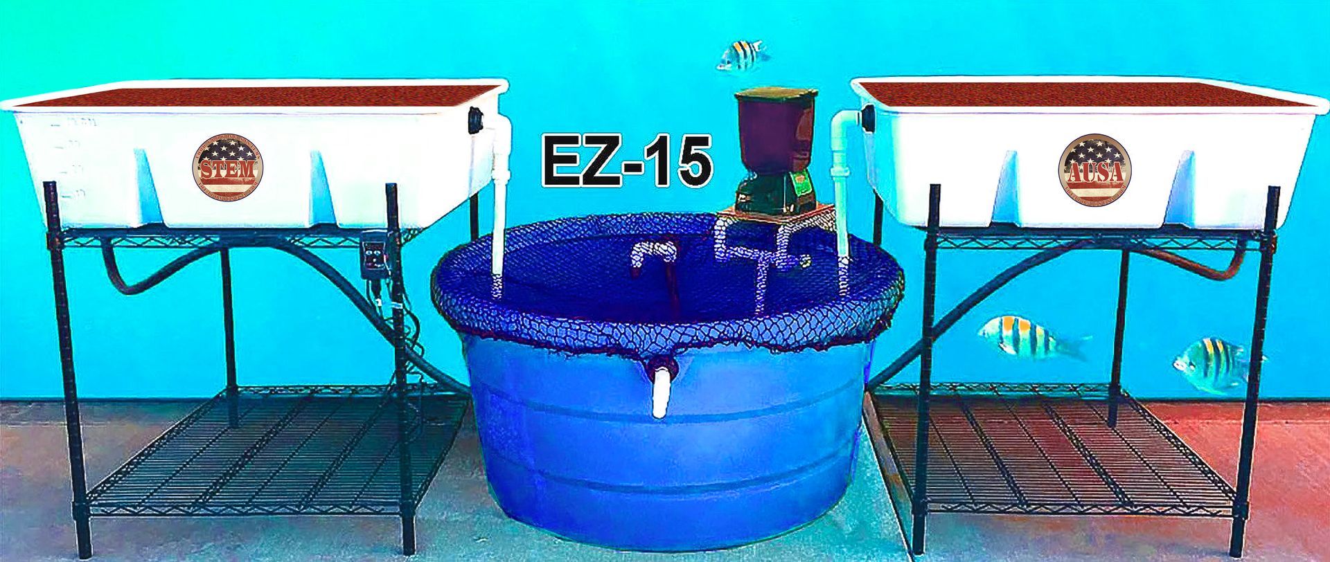 An aquaponics system with two white grow beds and a blue fish tank.