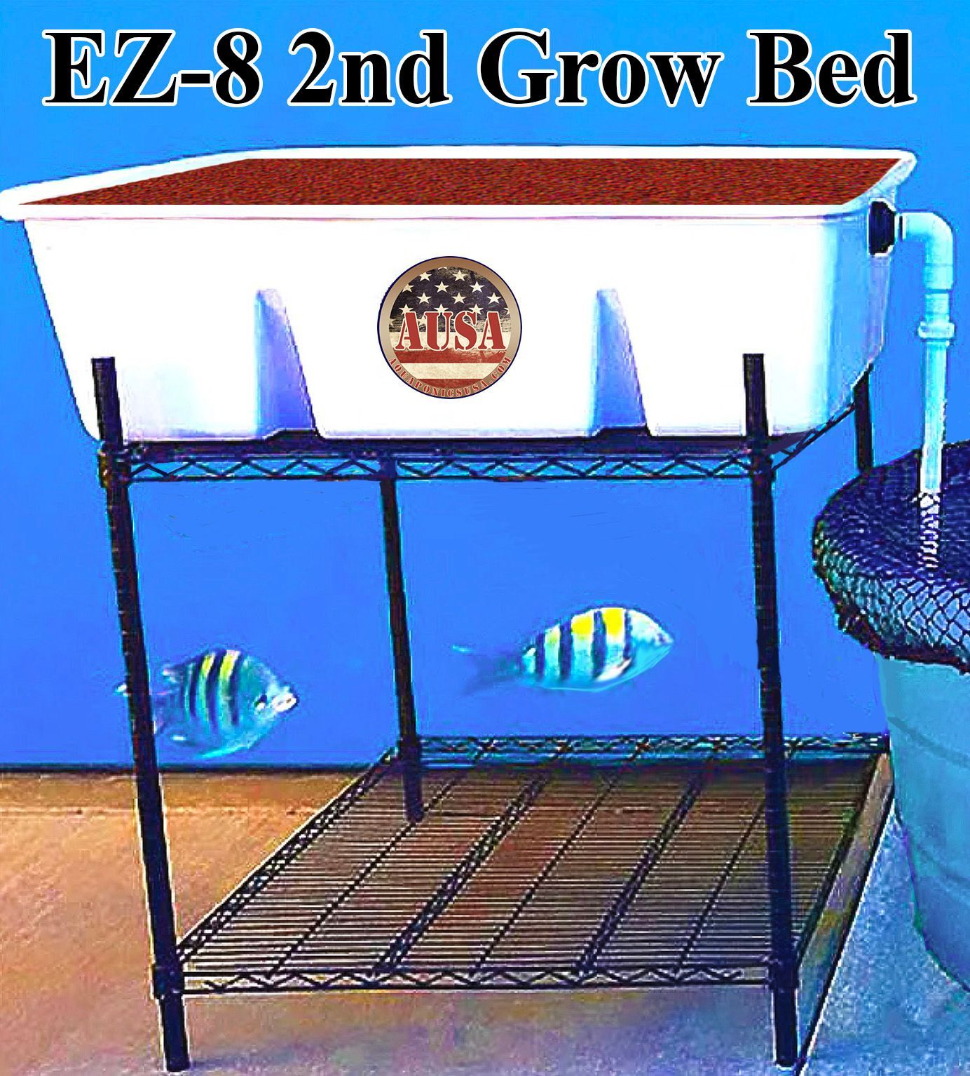 White grow bed on black metal rack, with soil, tubing, and a fish tank. Two fish swim below.