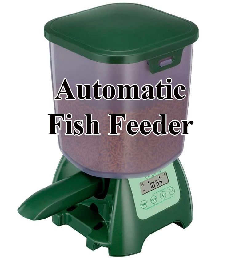 Green and clear plastic automatic fish feeder with digital timer.