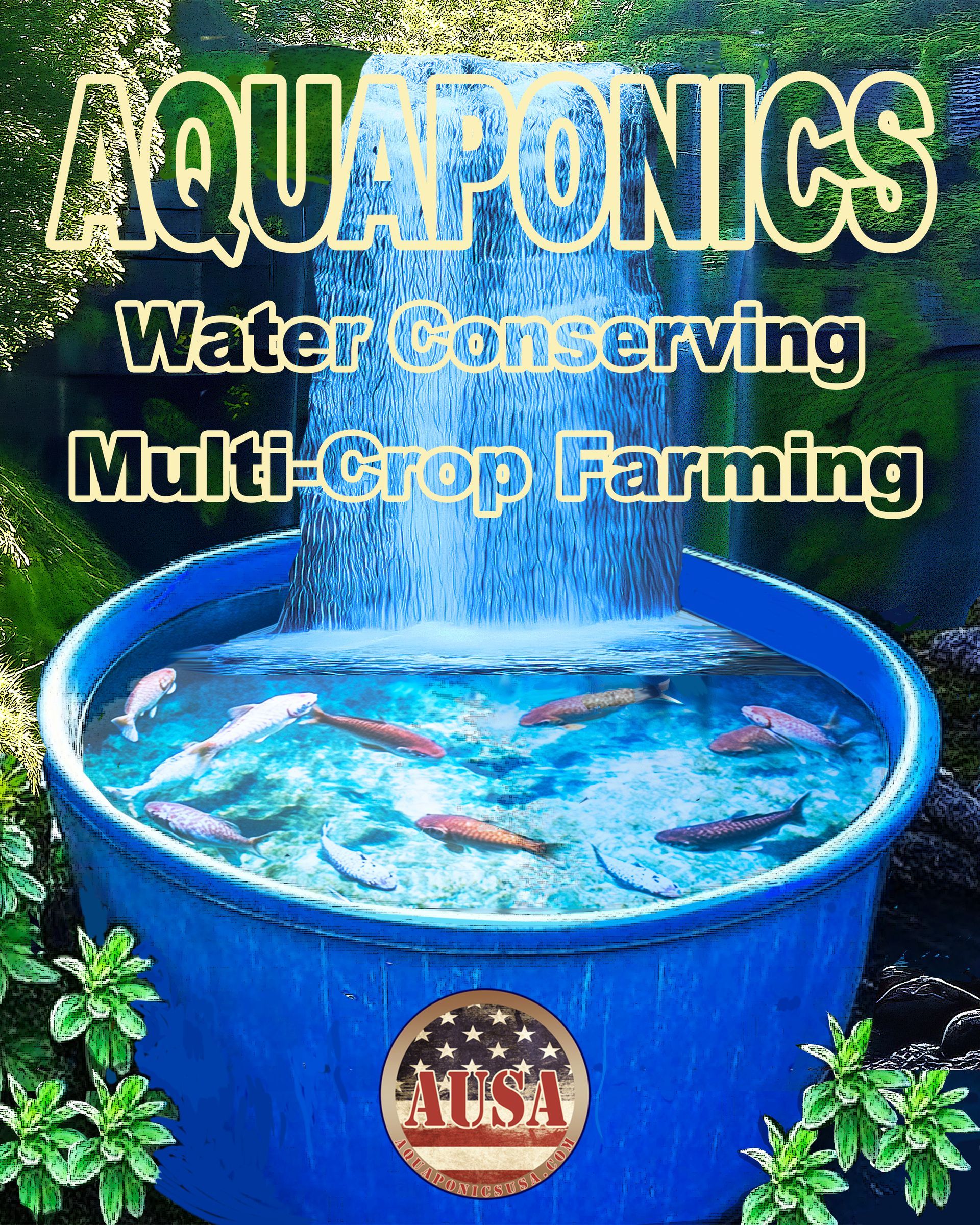 Aquaponics setup: Blue tub with fish, water cascading, text 