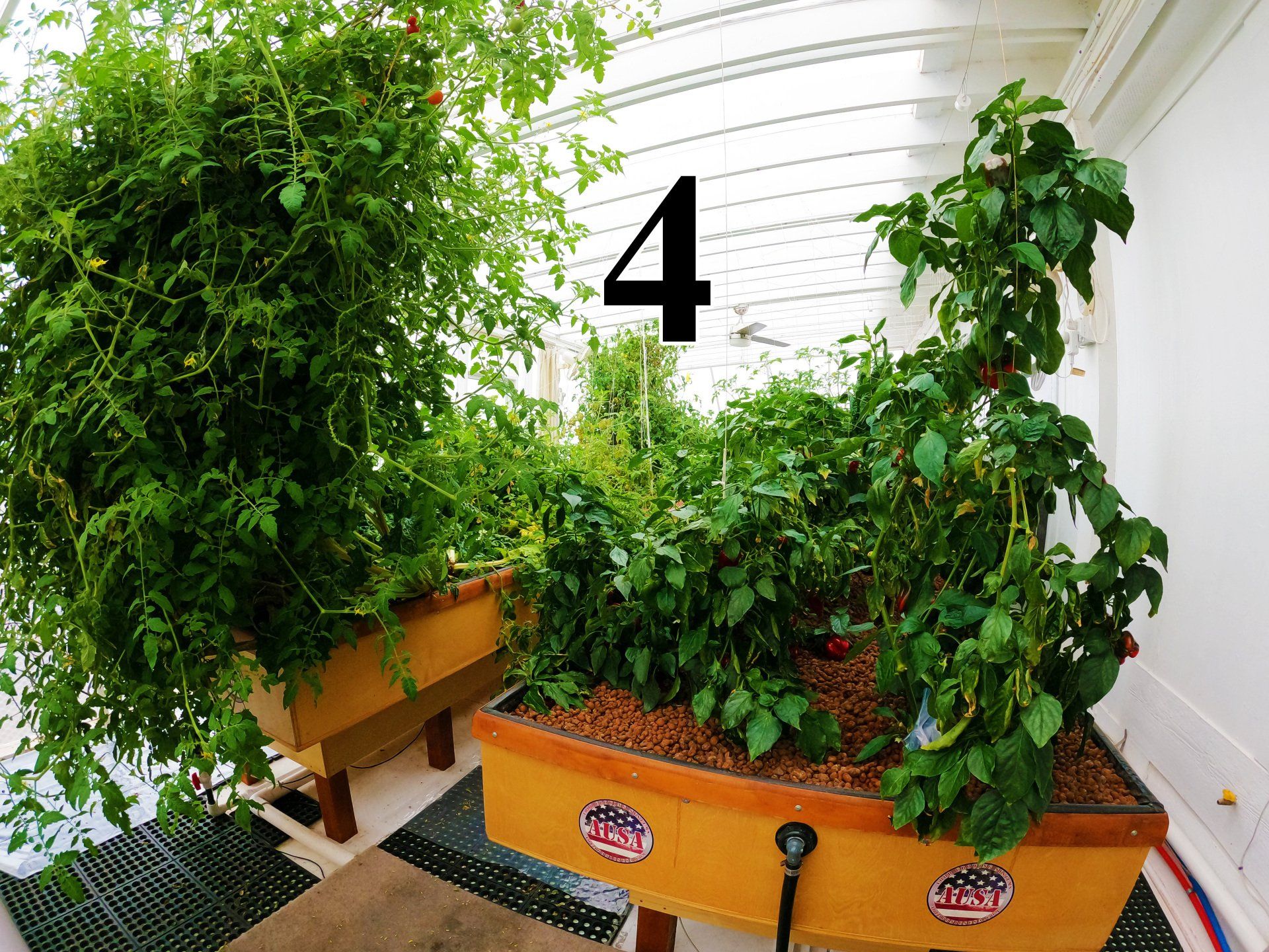 Hydroponic garden beds filled with plants. Number 4 overlaid.