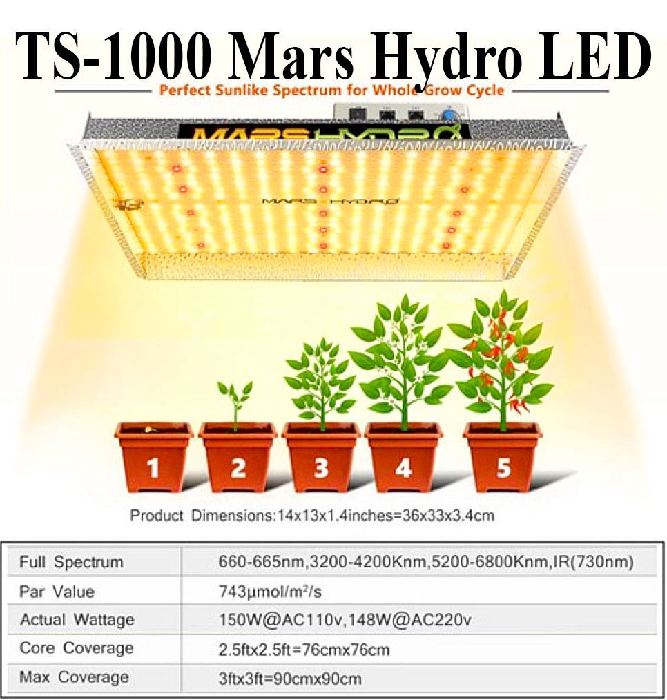 TS-1000 Mars Hydro LED grow light illuminating potted plants in stages 1-5, product specs below.