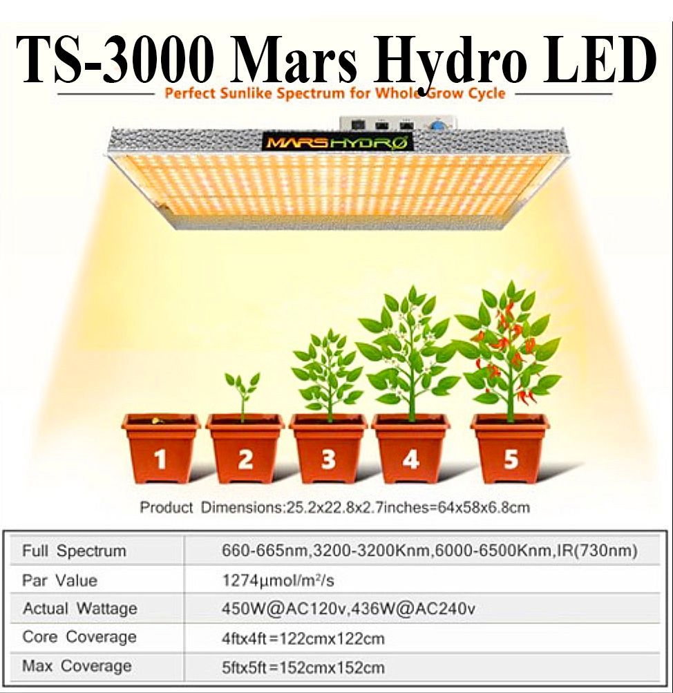 Mars Hydro TS-3000 LED grow light over potted plants at various growth stages, with product specifications listed.