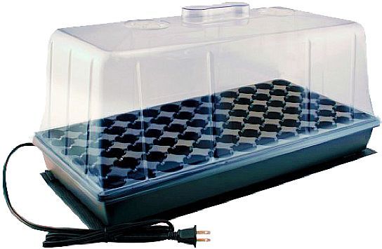 Heated plant seed starter tray with clear plastic dome, electric cord plugged in.