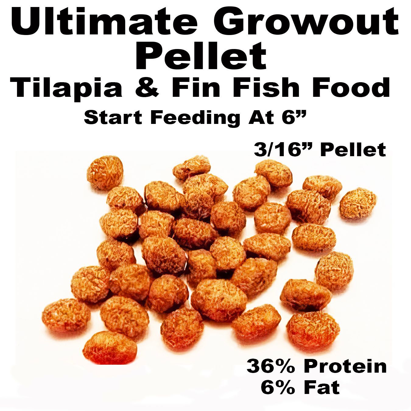 Fish food pellets, for tilapia and fin fish, with 36% protein and 6% fat. Start feeding at 6