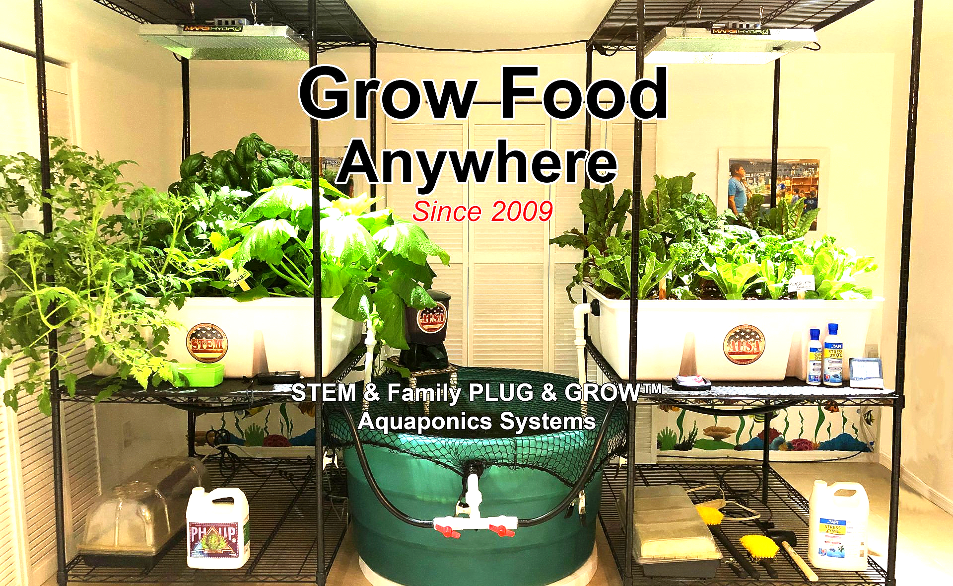 Indoor aquaponics system with growing plants and 