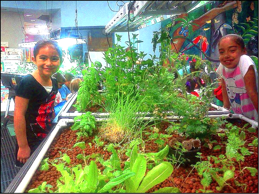 Two girls smile near a hydroponic garden with green plants inside a classroom.