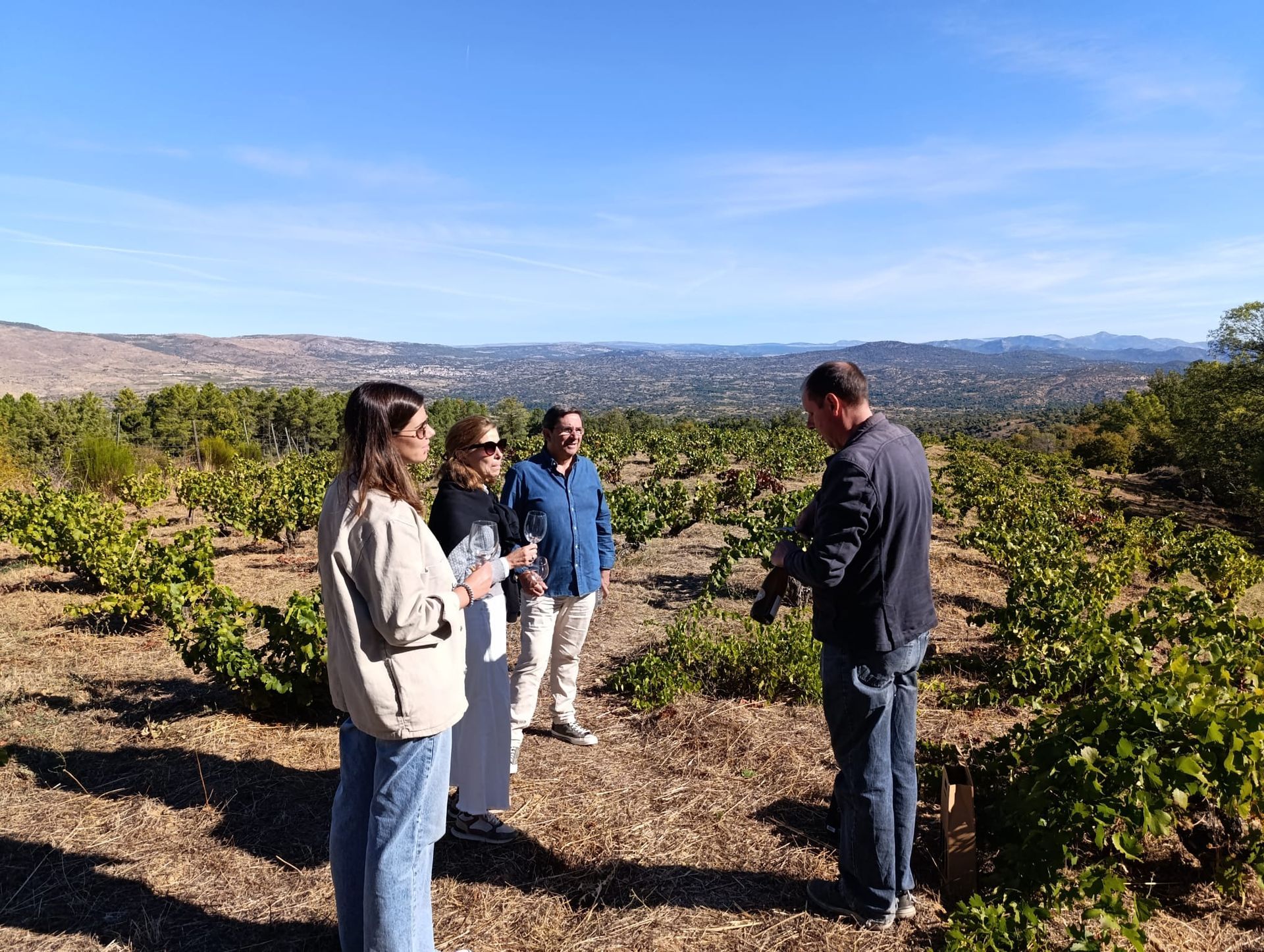 wine tour madrid